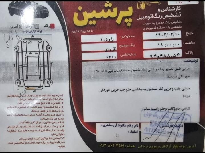 پژو 405 GL - دوگانه سوز CNG - 1369