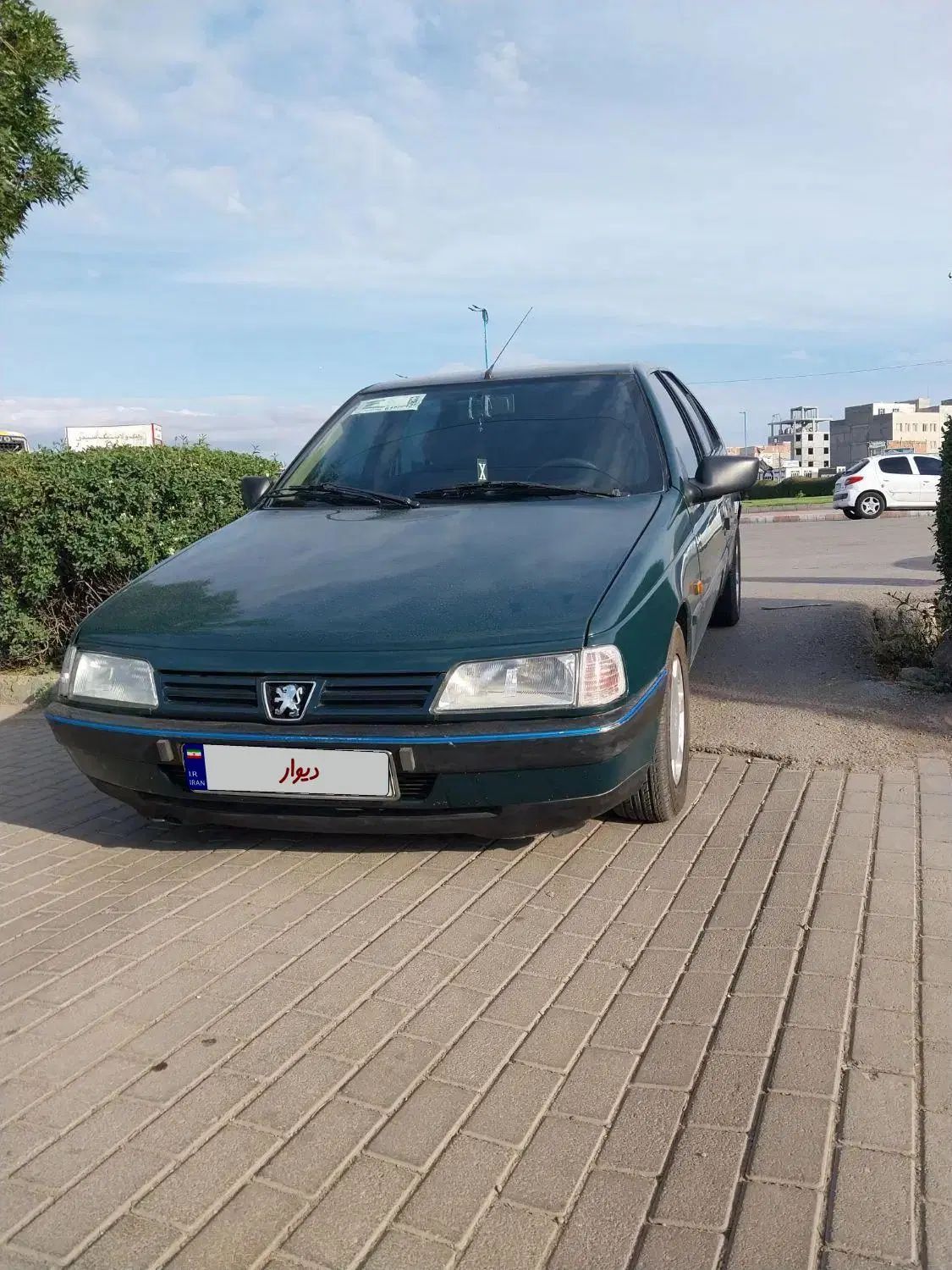پژو آردی دوگانه سوز CNG - 1384