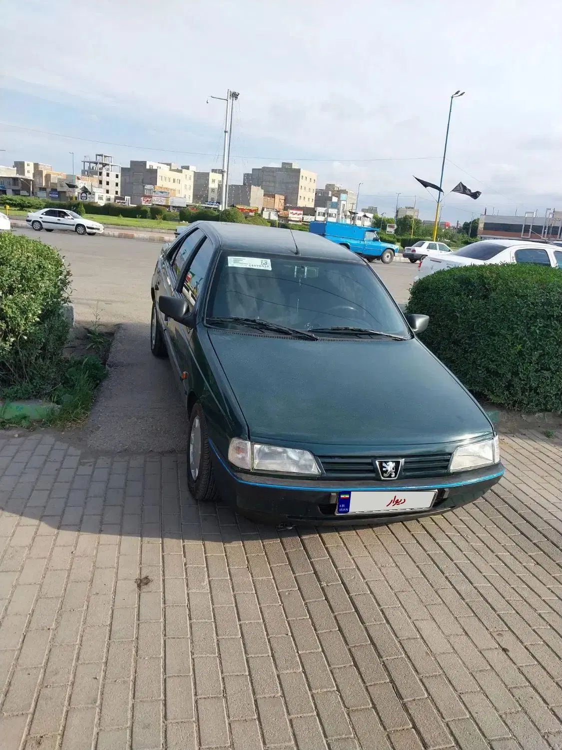 پژو آردی دوگانه سوز CNG - 1384