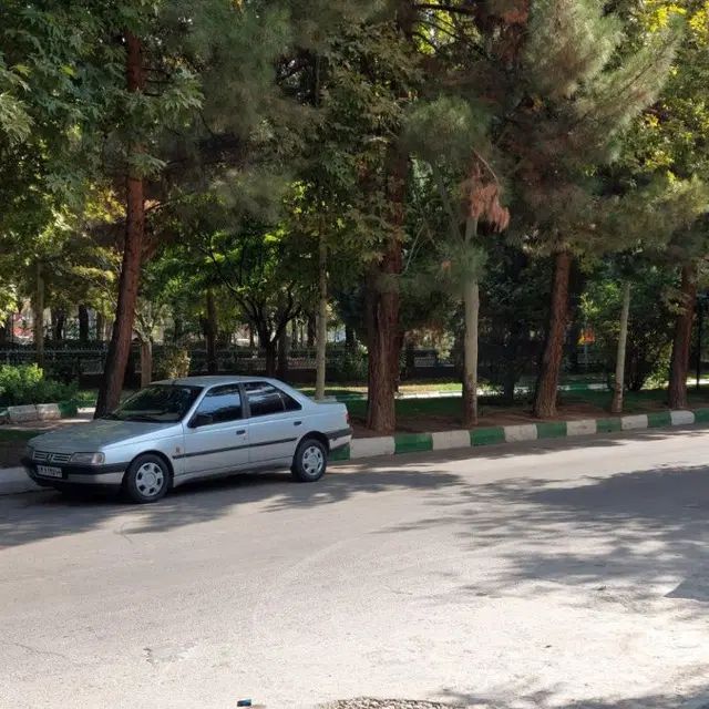 خودرو پژو، 405 آگهی ann_20337949