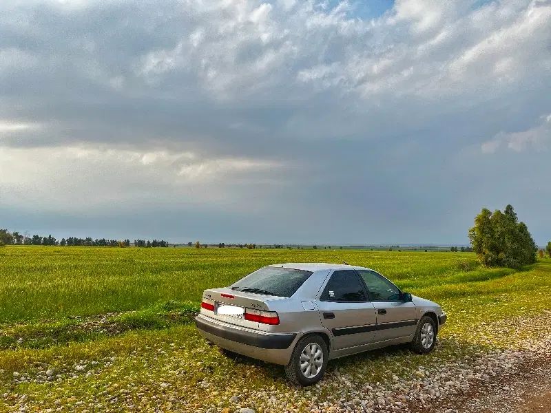سیتروئن زانتیا SX - 1385