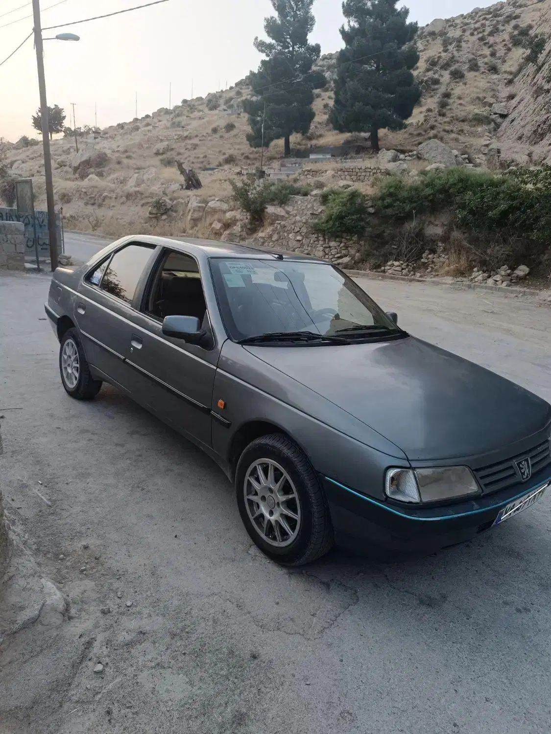 پژو 405 GLX - دوگانه سوز - 1391