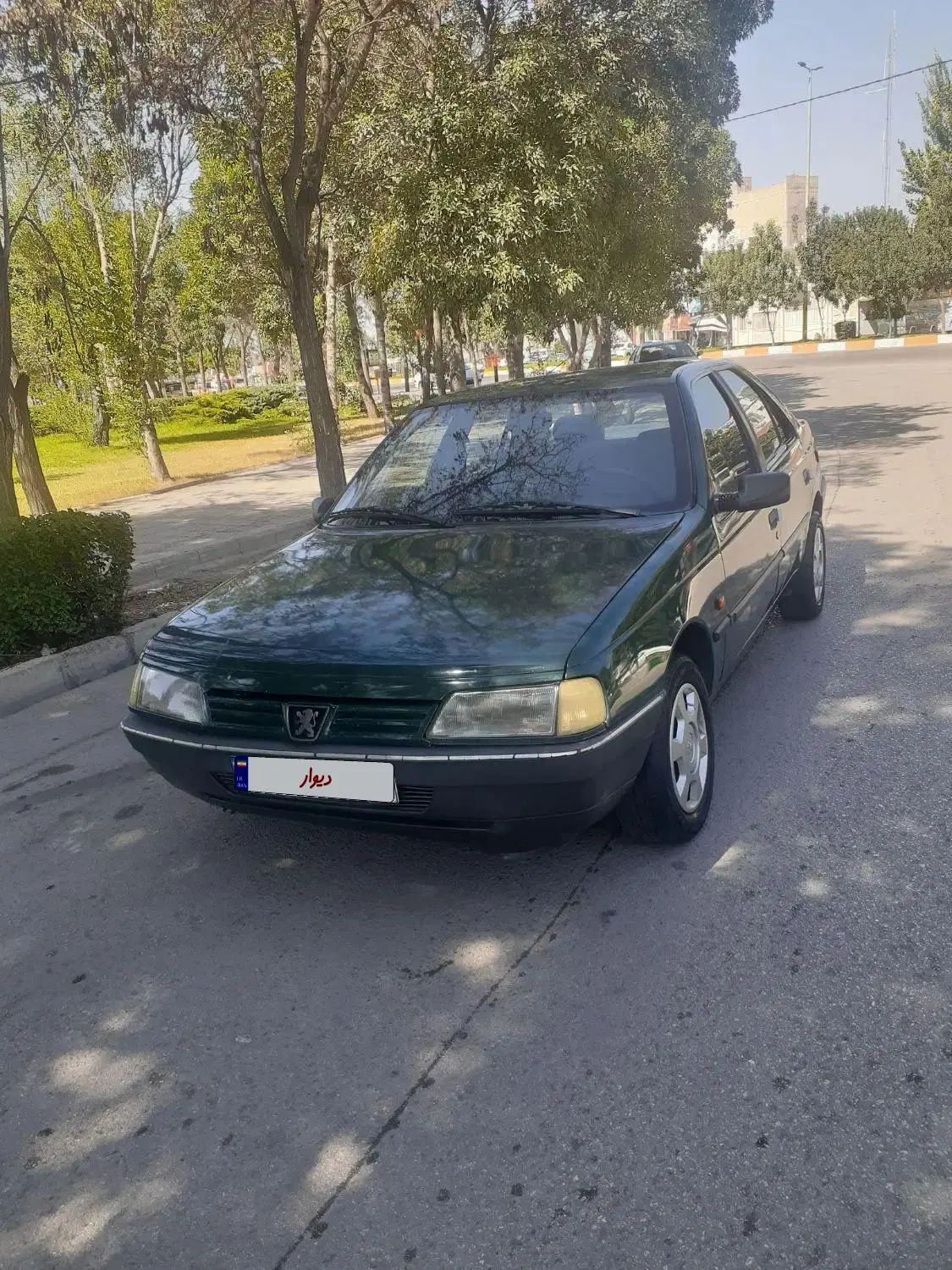 پژو آردی دوگانه سوز CNG - 1383