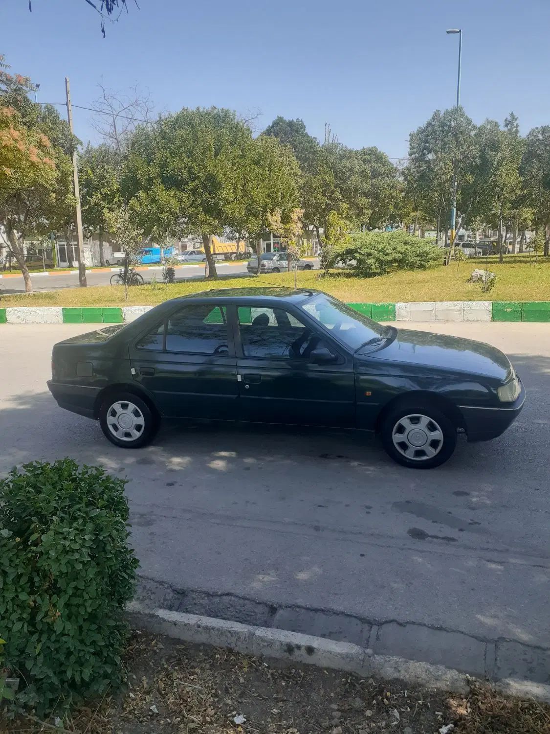پژو آردی دوگانه سوز CNG - 1383