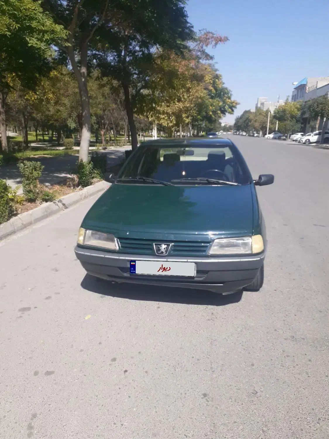 پژو آردی دوگانه سوز CNG - 1383