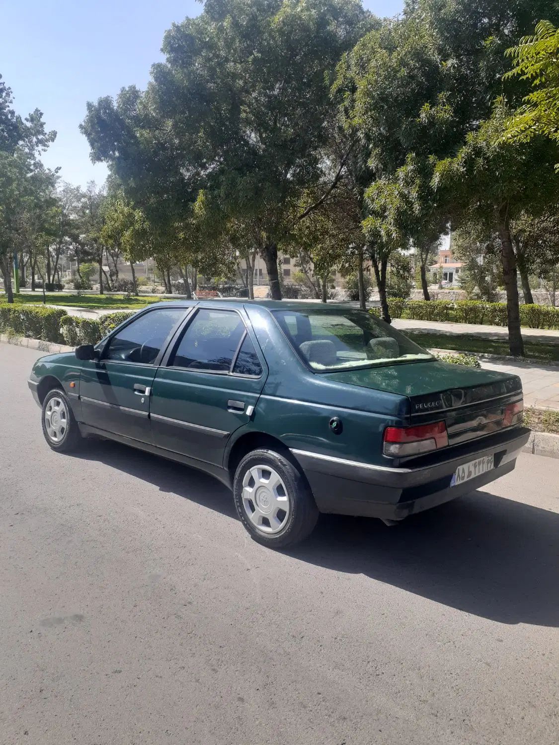 پژو آردی دوگانه سوز CNG - 1383