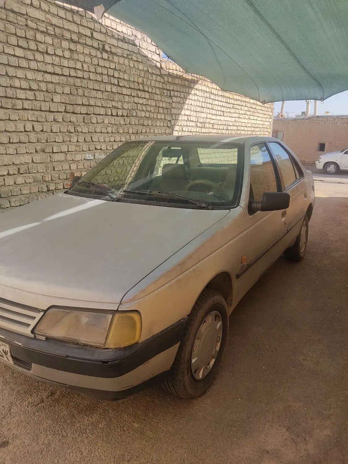 پژو 405 GLX - دوگانه سوز - 1389
