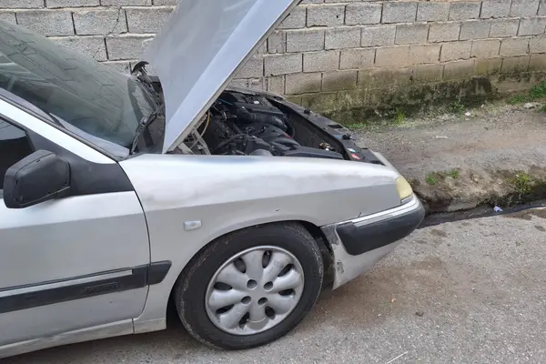 سیتروئن زانتیا SX - 1383