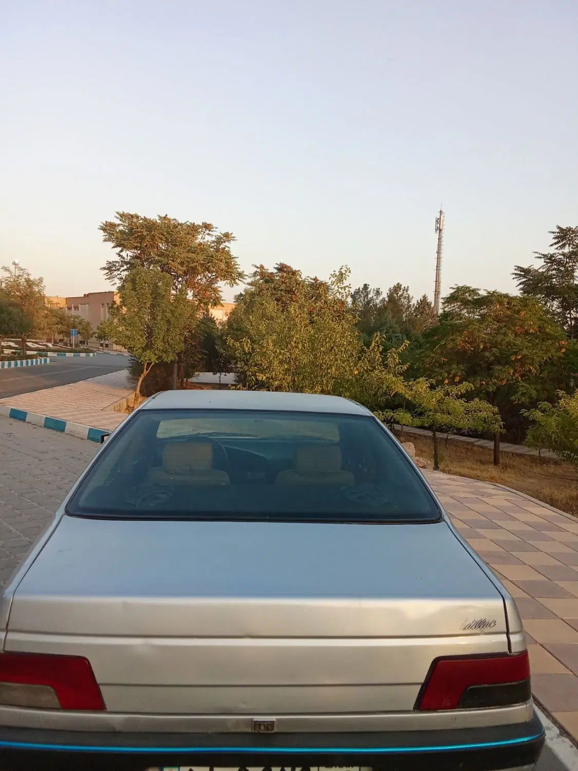 پژو روآ دوگانه سوز - 1388