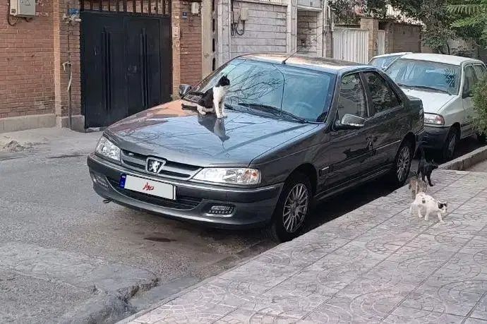 پژو پارس ELX-XU7P سفارشی - 1402