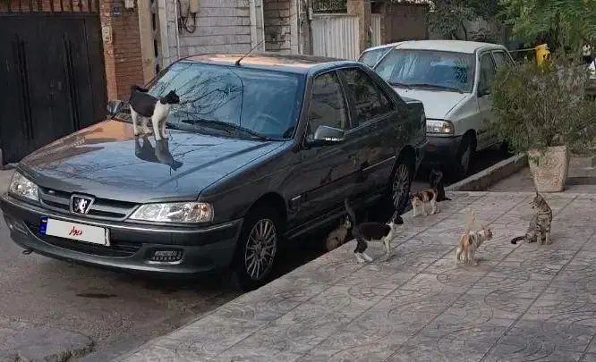 پژو پارس ELX-XU7P سفارشی - 1402