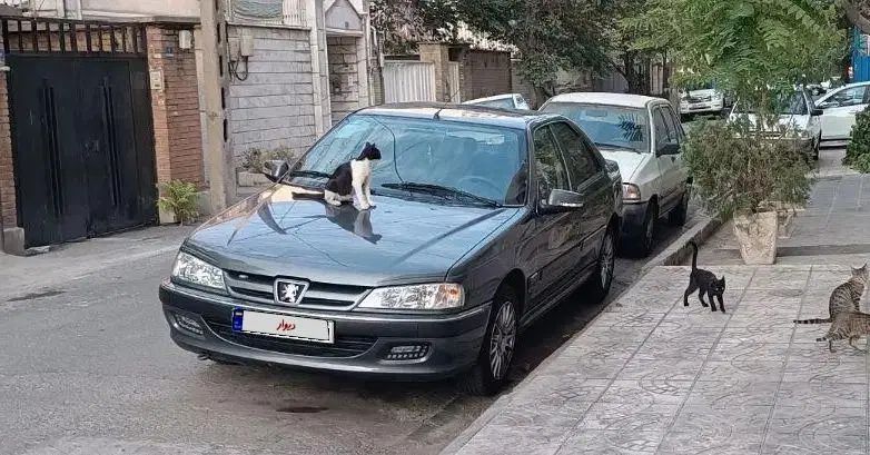 پژو پارس ELX-XU7P سفارشی - 1402