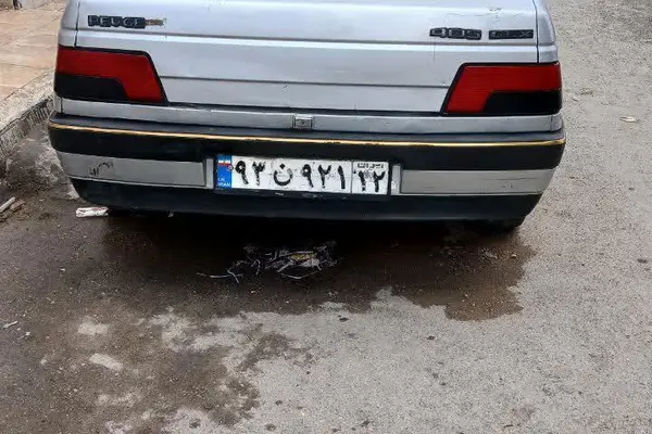 پژو 405 GLX - دوگانه سوز - 1391