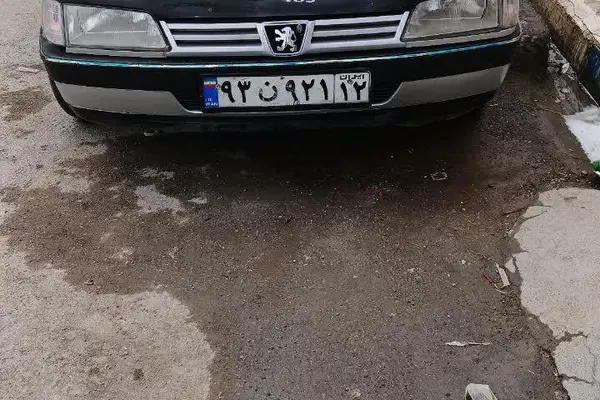 پژو 405 GLX - دوگانه سوز - 1391
