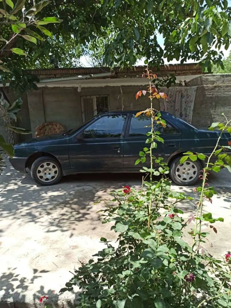 پژو آردی دوگانه سوز CNG - 1384