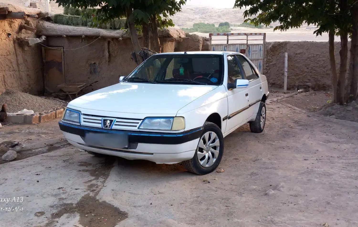 پژو آردی دوگانه سوز LPG - 1383