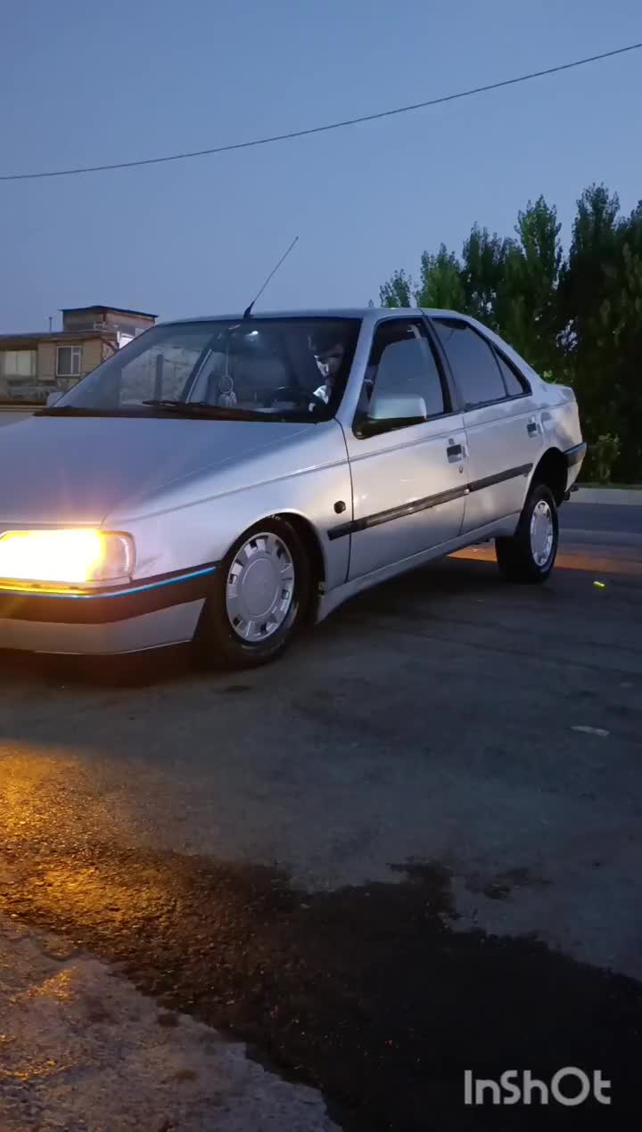 پژو 405 GLX - 1384