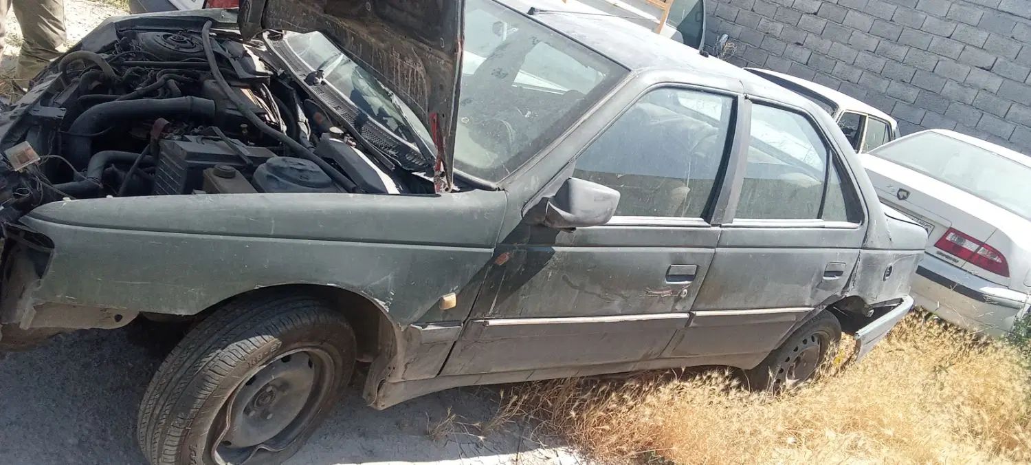 پژو 405 GLX - دوگانه سوز - 1381