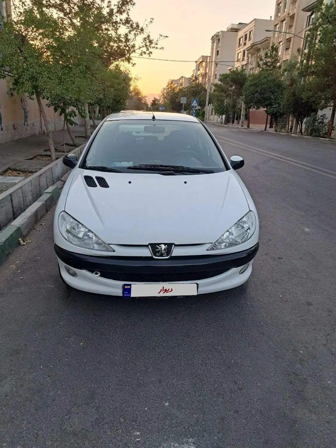 پژو 206 تیپ 2 - 1399