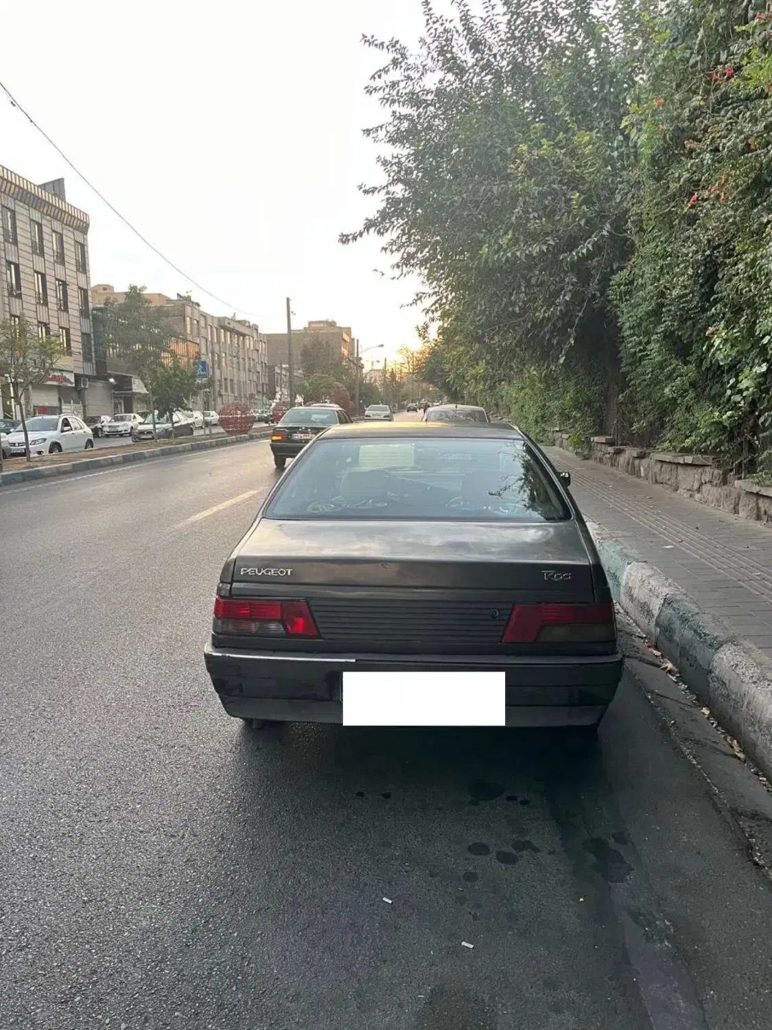 پژو روآ دوگانه سوز - 1387