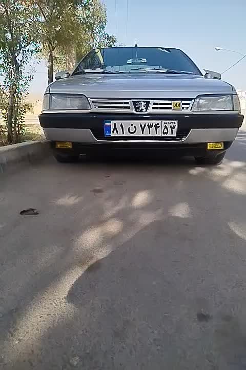 خودرو پژو، 405 آگهی ann_20351984
