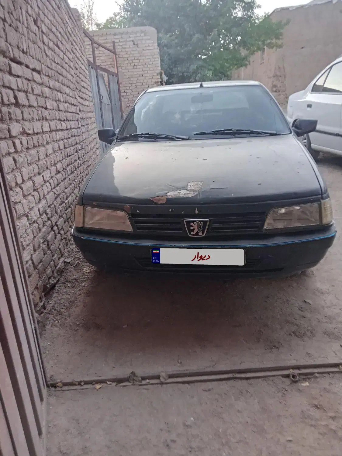 پژو 405 GLI - دوگانه سوز CNG - 1384