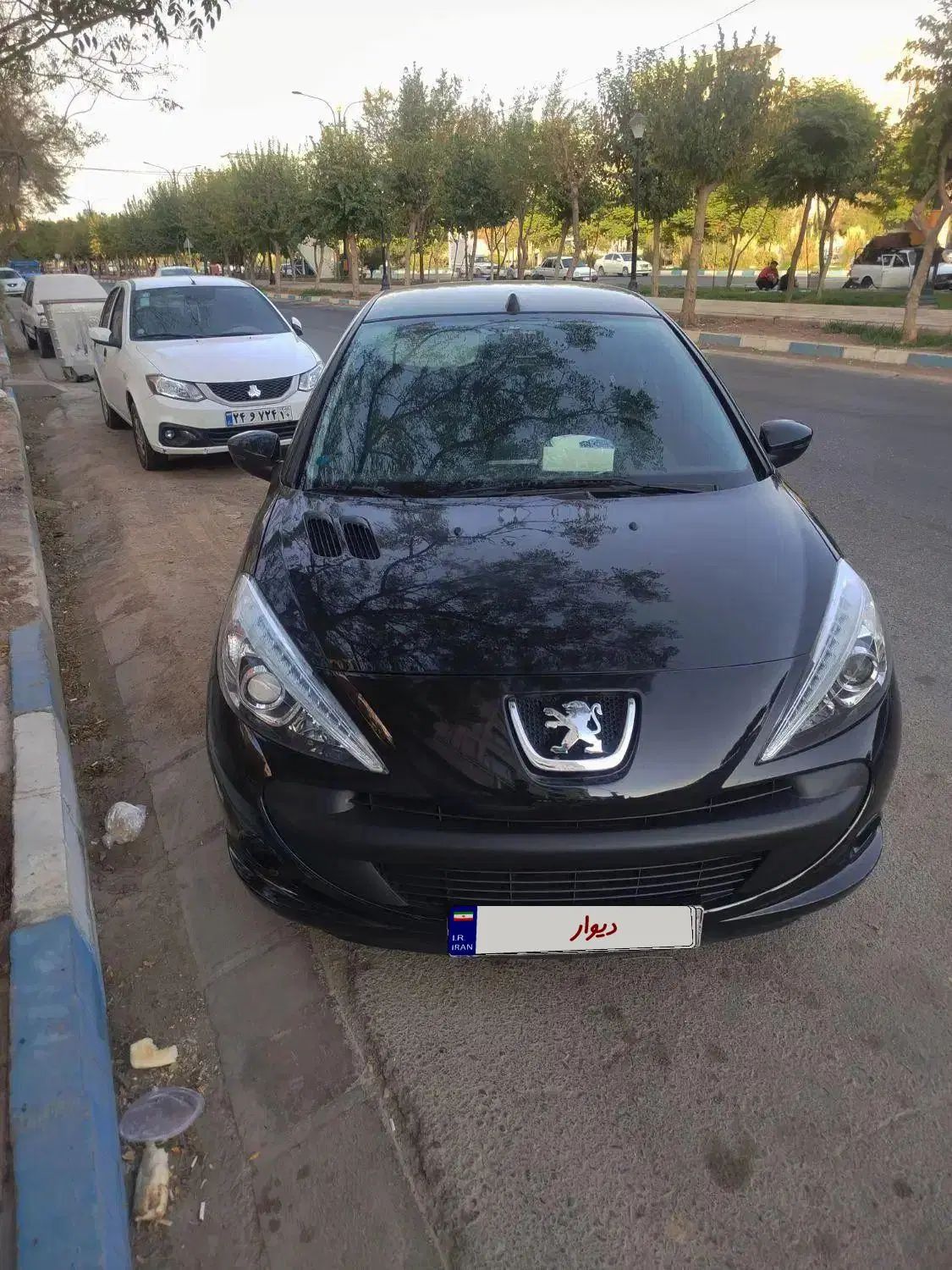 خودرو پژو، 207 آگهی ann_20353673