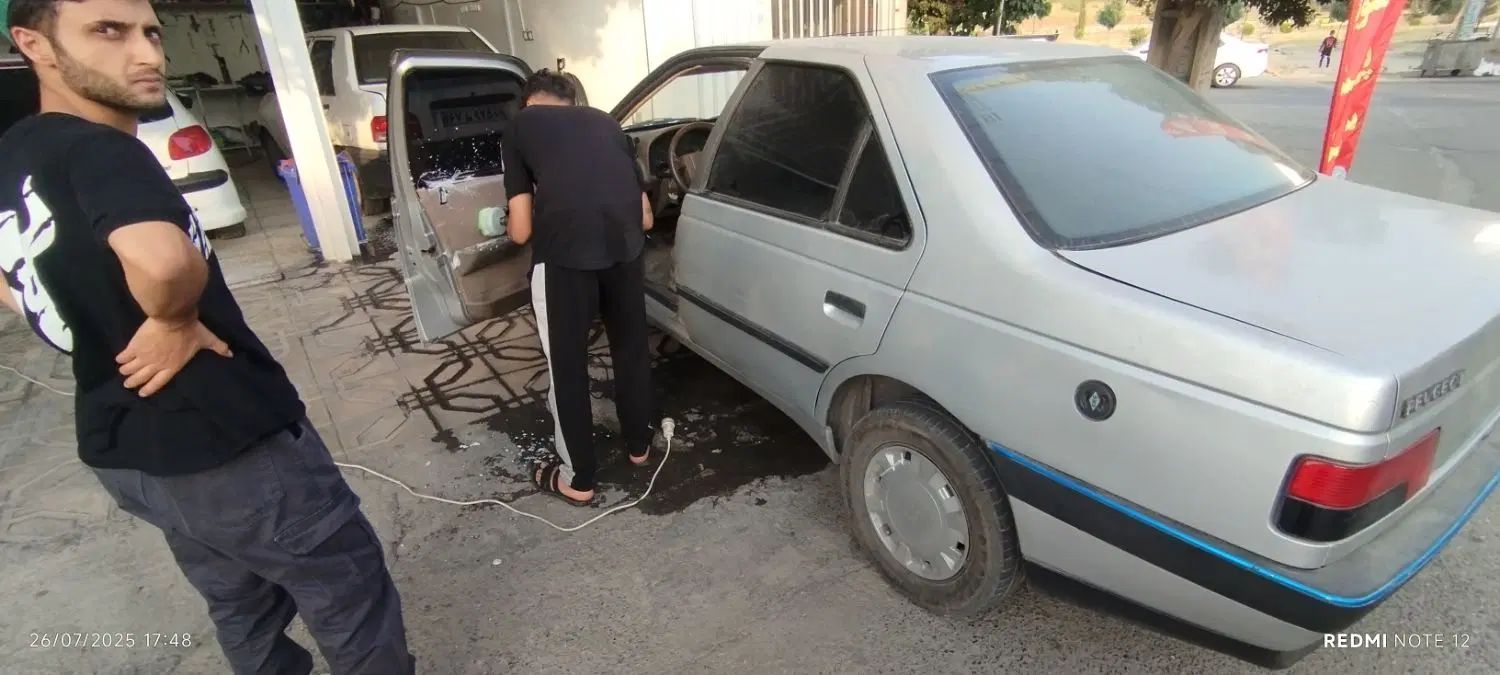 پژو 405 GLX - دوگانه سوز - 1393
