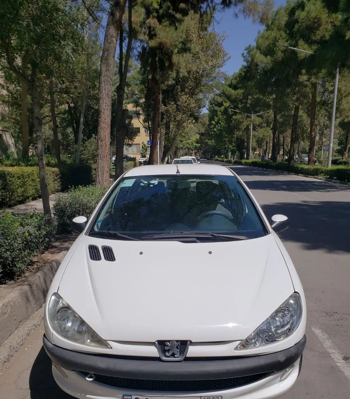 پژو ۲۰۶ صندوق دار v8 - 1397