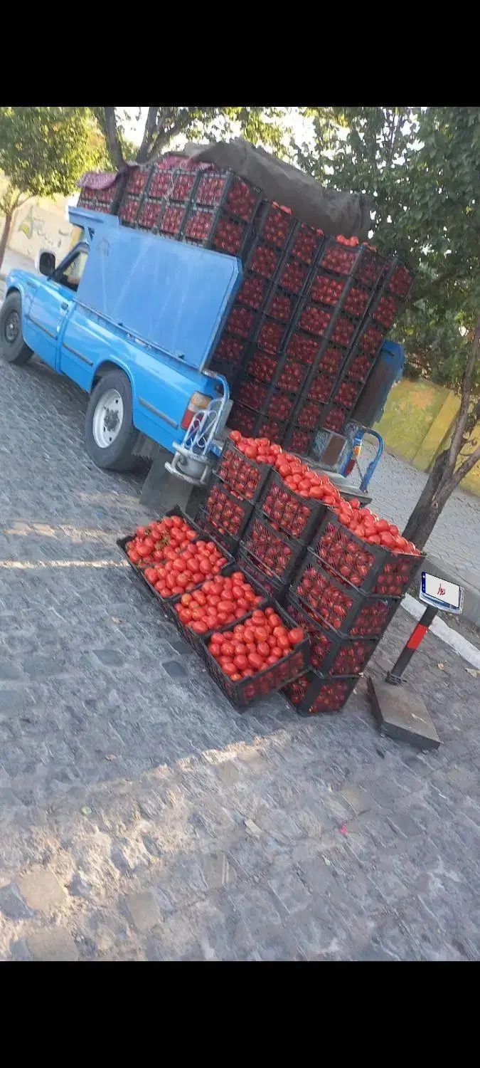 خودرو زامیاد، وانت نیسانZ24 آگهی ann_20356768