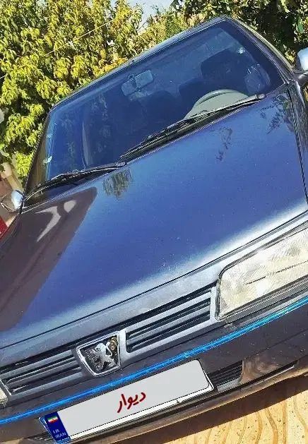 پژو 405 GL - دوگانه سوز CNG - 1379