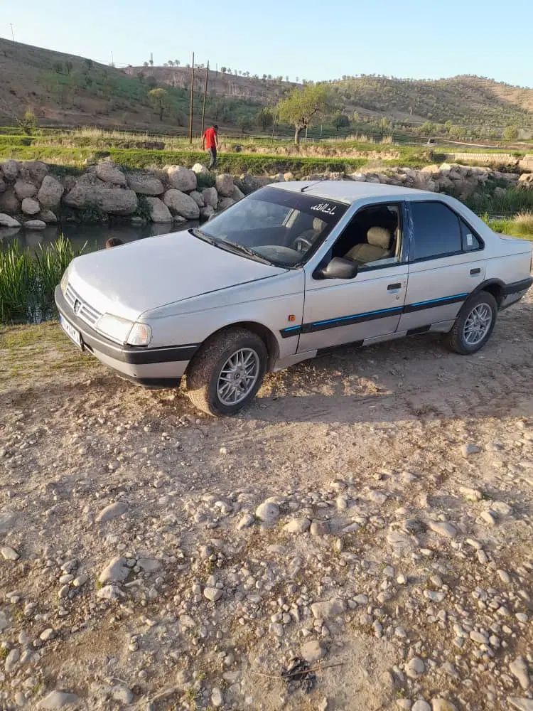 خودرو پژو، 405 آگهی ann_20357101