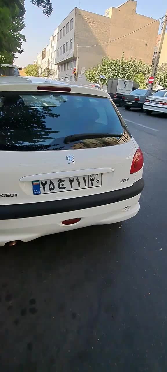 پژو 206 تیپ 5 - 1393
