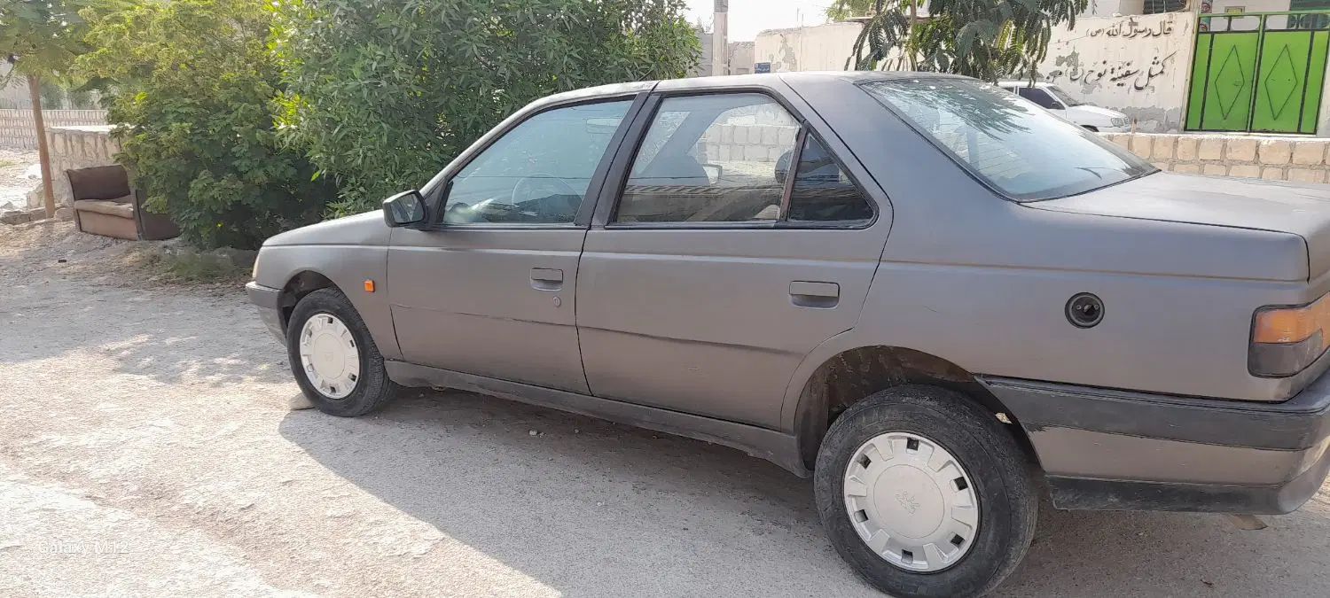 پژو 405 GLI - دوگانه سوز LPG - 1382