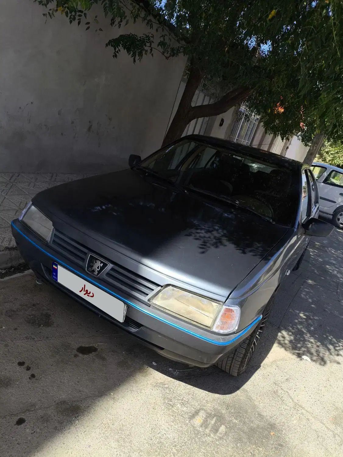 پژو 405 GLX - دوگانه سوز - 1395