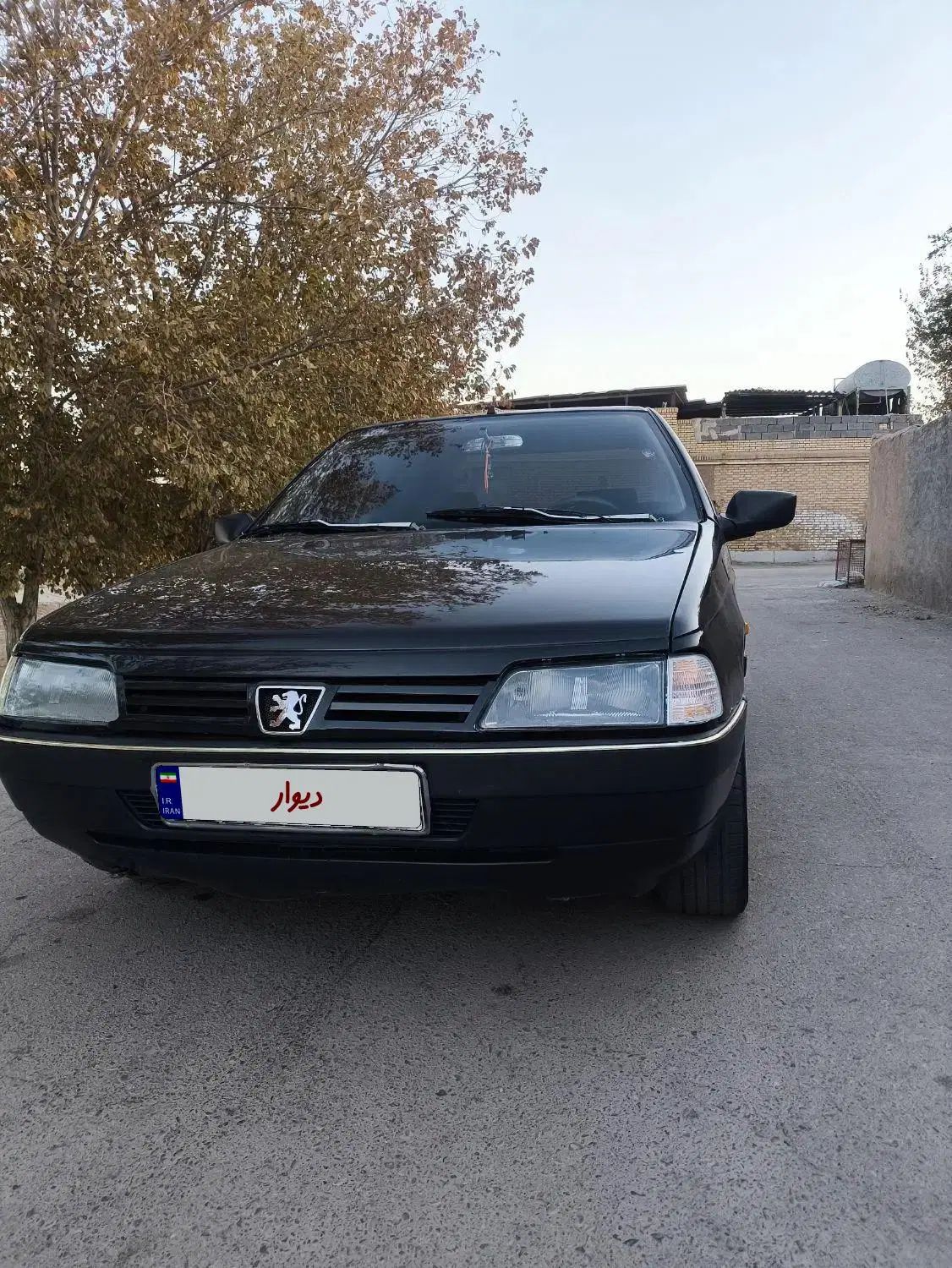 پژو 405 GLX - 1383