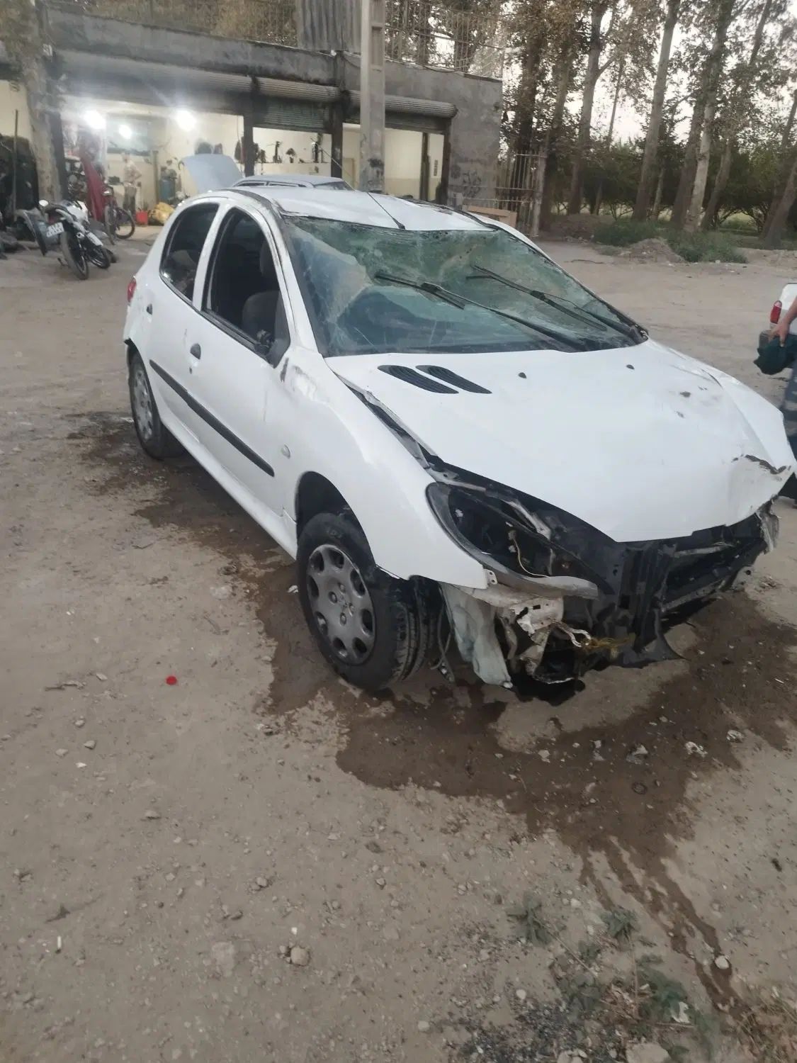 پژو 206 تیپ 5 - 1399