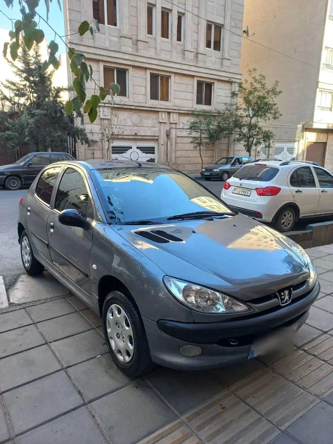 خودرو پژو، 206 آگهی ann_20362618