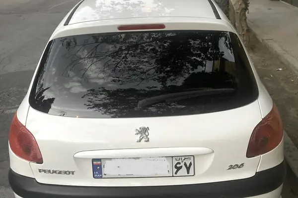 پژو 206 تیپ 5 - 1393