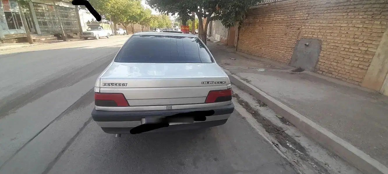 پژو 405 GLX - دوگانه سوز - 1389