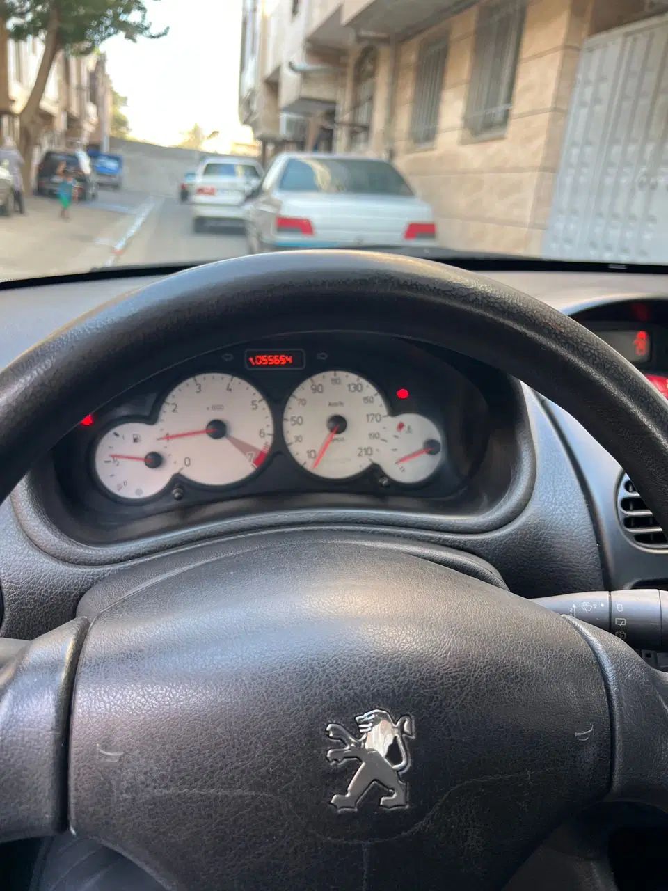 پژو 206 تیپ 2 - 1401