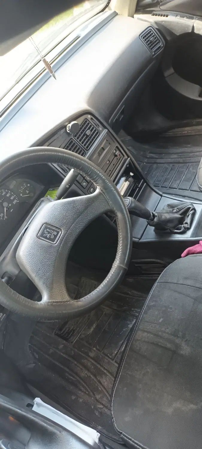 پژو آردی دوگانه سوز CNG - 1383