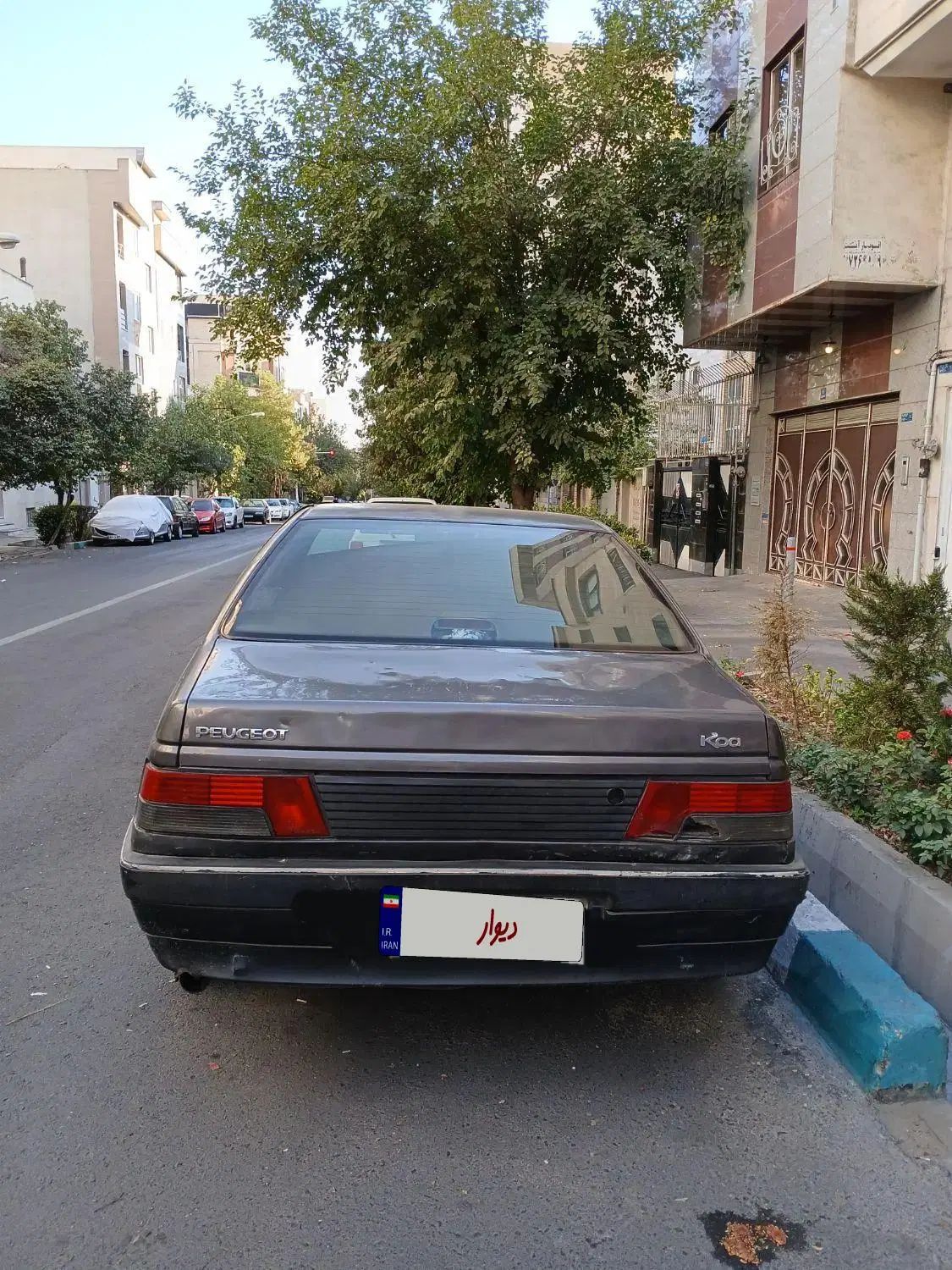 پژو روآ دوگانه سوز - 1388