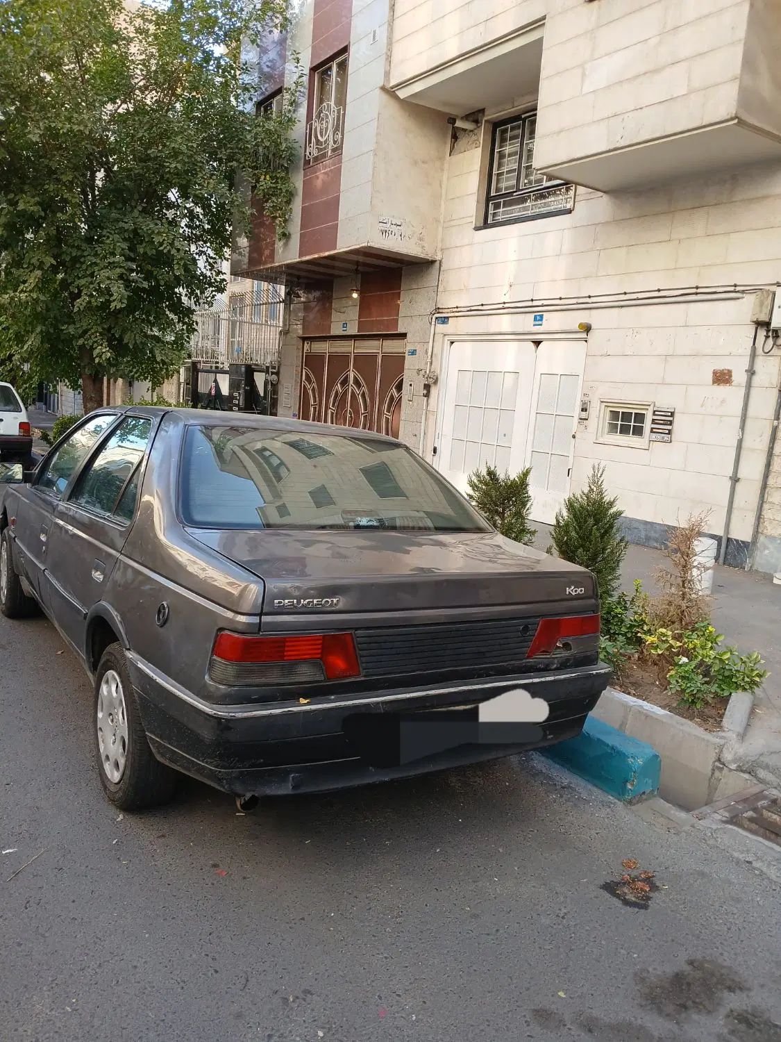 پژو روآ دوگانه سوز - 1388