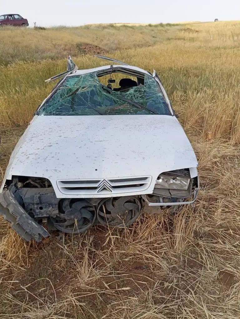 سیتروئن زانتیا SX - 1387