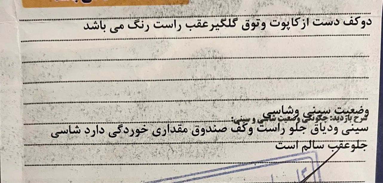 پژو 206 تیپ 5 - 1395