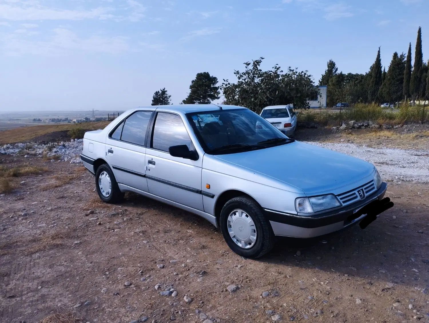 پژو 405 GLX - 1393