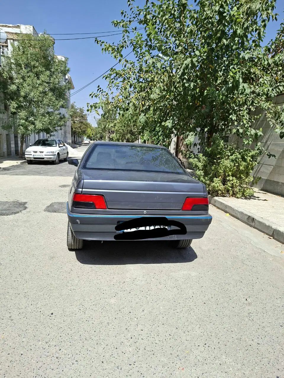 پژو 405 GLX - دوگانه سوز - 1395