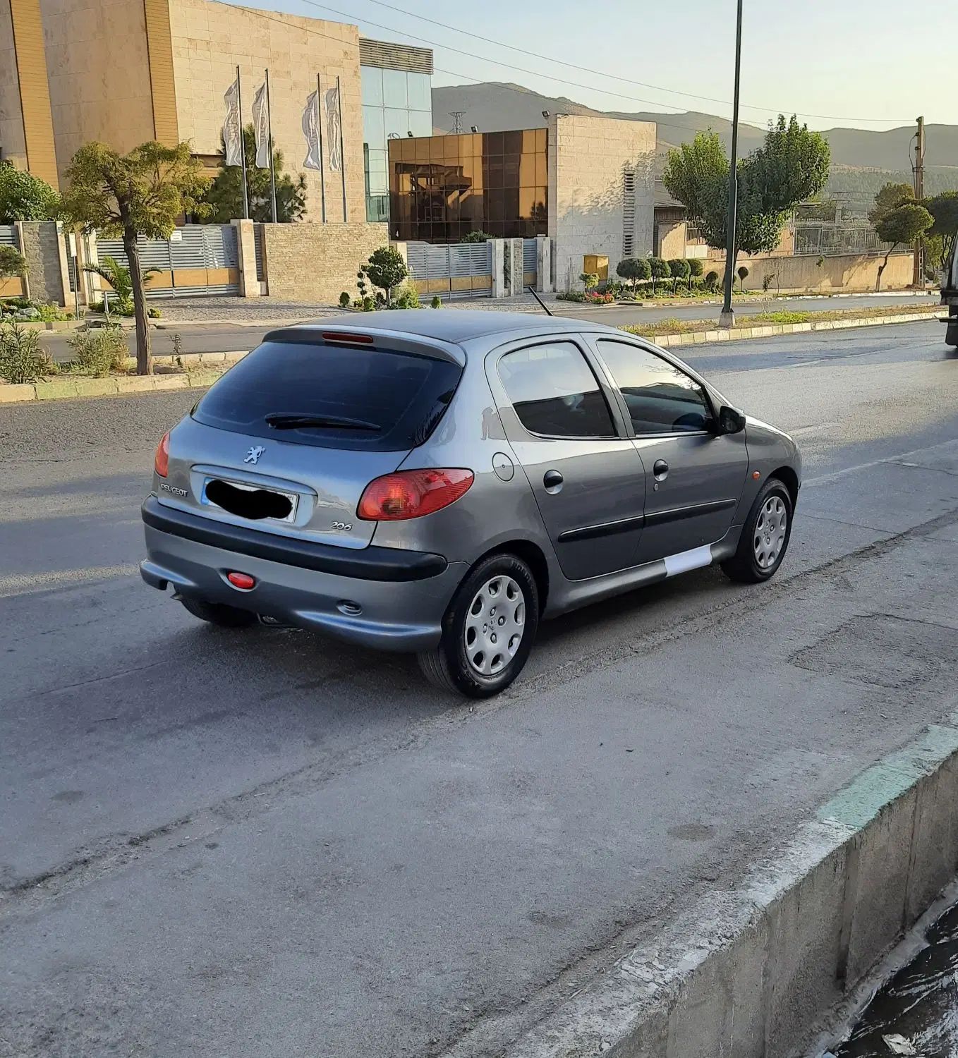 پژو 206 تیپ 2 - 1389