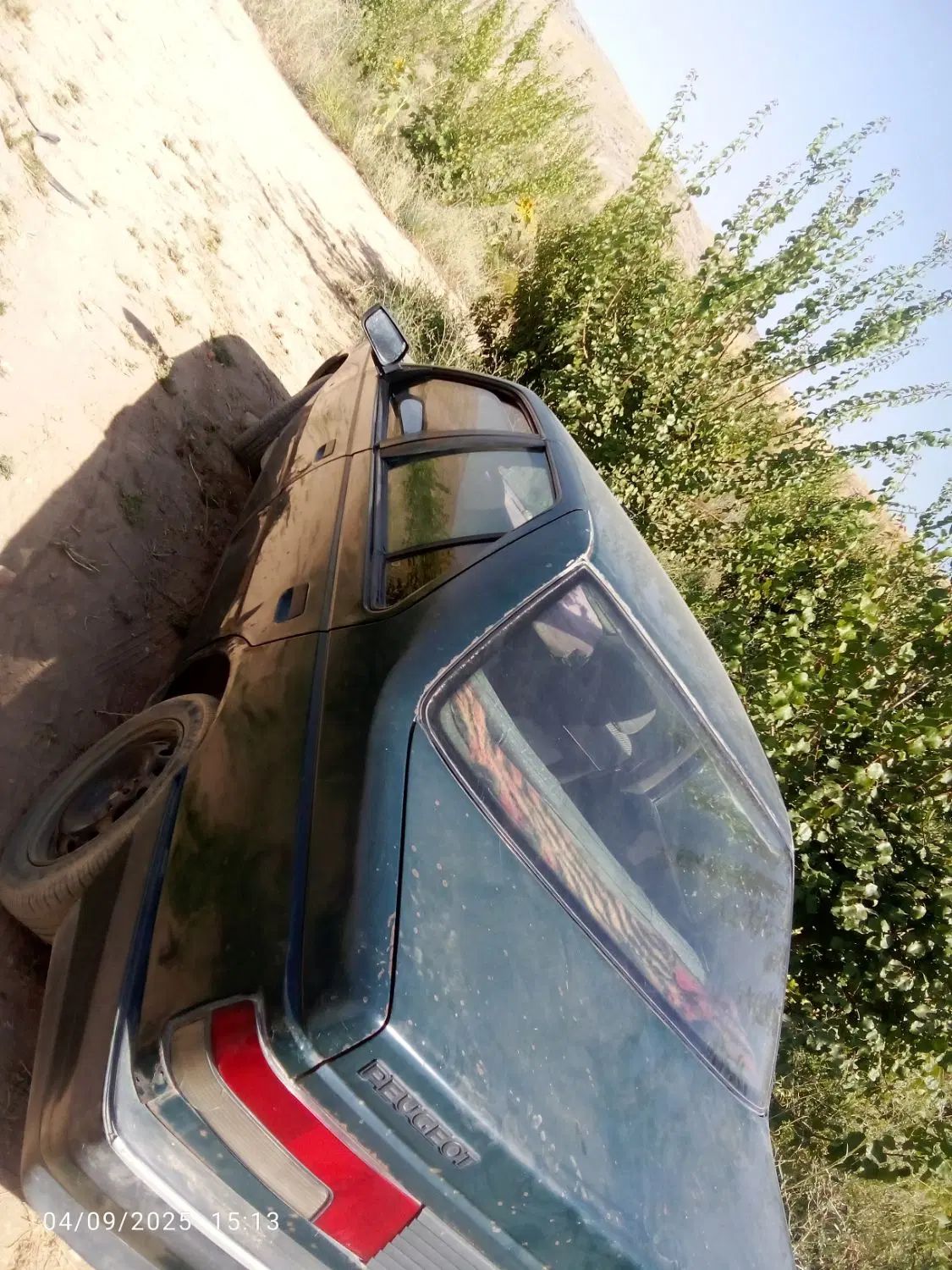 پژو آردی دوگانه سوز CNG - 1382